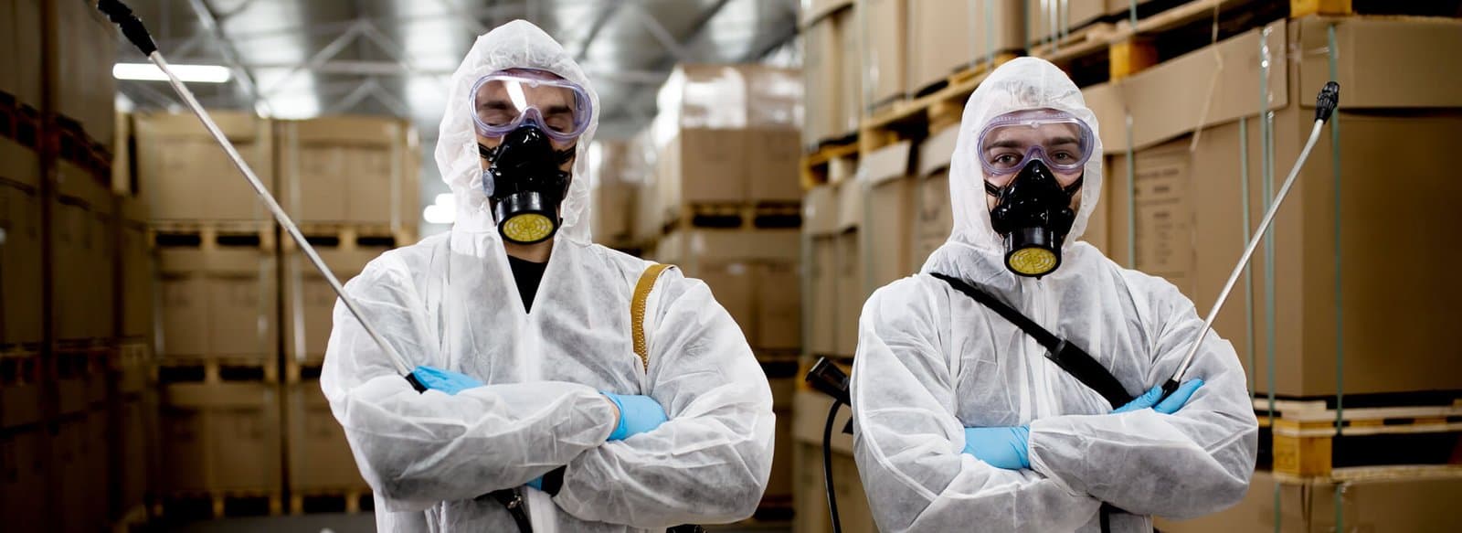 Pest control technician serving an Auckland property